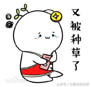 2016年网络流行语汇总,22年网络流行语汇总