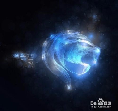 狮子星座最喜欢的礼物,12星座的专属礼物