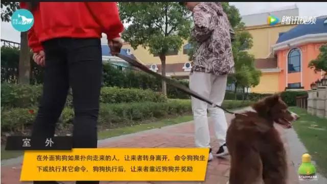邻居说我家狗吓到他了怎么办,邻居狗咬人报警给警告处理吗