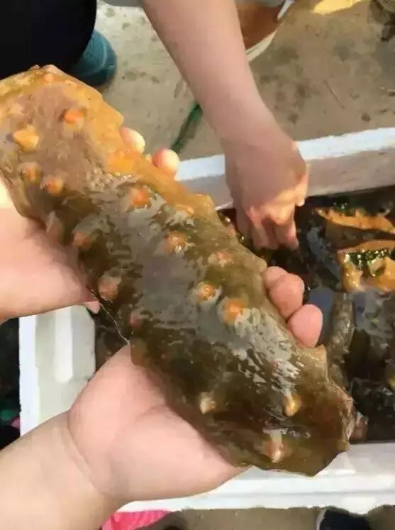 炫富海鲜美食,烟台吃海鲜档次最高