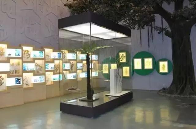 别再跟我说“母鸡”去哪玩！广州48个一日游免费景点推荐！