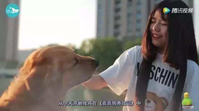 邻居说我家狗吓到他了怎么办,邻居狗咬人报警给警告处理吗