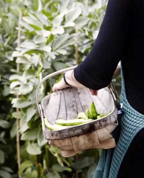 回归田园梦想中的生活,回归田园过上简单生活