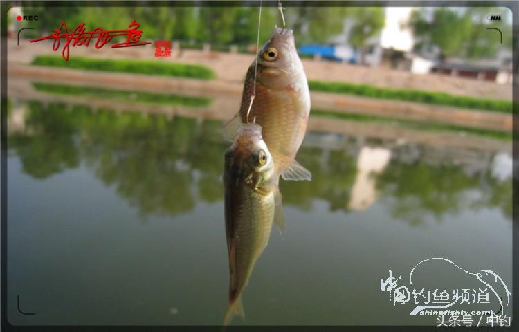 陪伴孩子的野餐,周末家庭式野餐陪伴家人