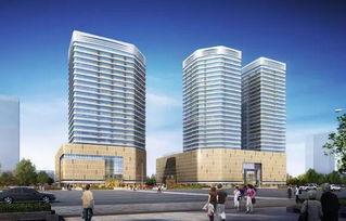 2017年11月15号成都荷花池