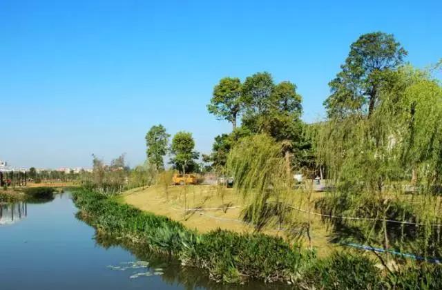 别再跟我说“母鸡”去哪玩！广州48个一日游免费景点推荐！