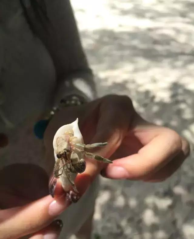 帕劳归来不看海视频,帕劳归来不看海