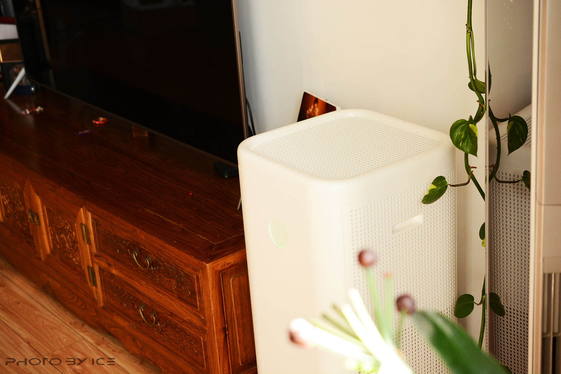 老罗测评锤子空气净化器,老罗空气清新机