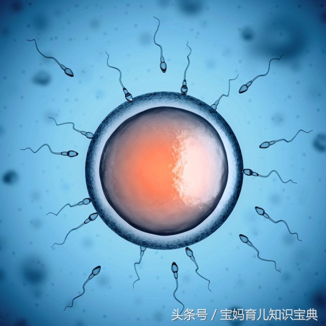 当受精卵成功着床时会有以下这几种感觉，备孕妈妈一定要多注意