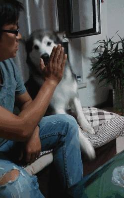 汉语博大精深写错字都能看懂,中国汉字博大精深搞笑视频错字