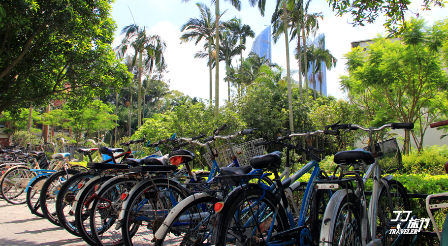 厦门南普陀第一炷香,厦门忆时光