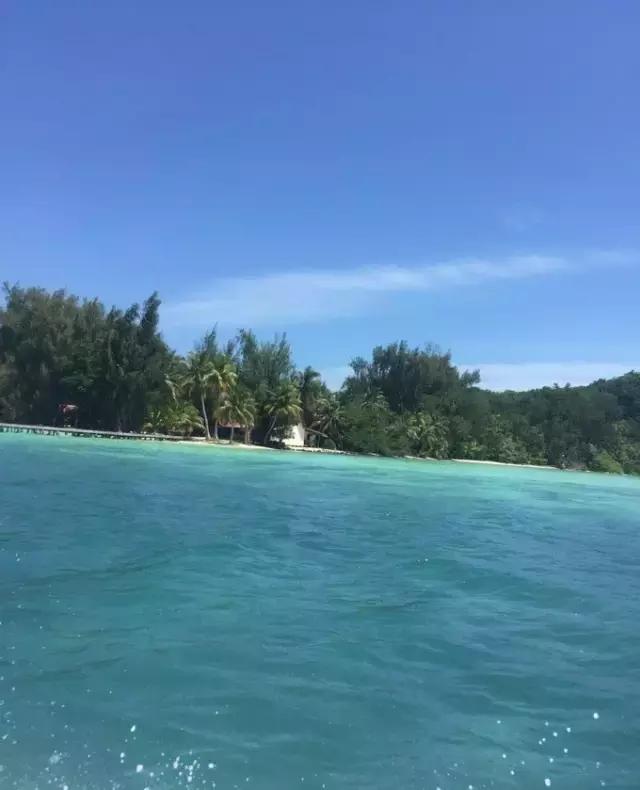 帕劳归来不看海视频,帕劳归来不看海