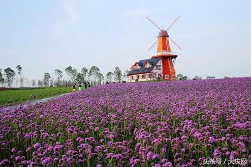 大庆正洁寺旅游攻略,正洁寺旅游区