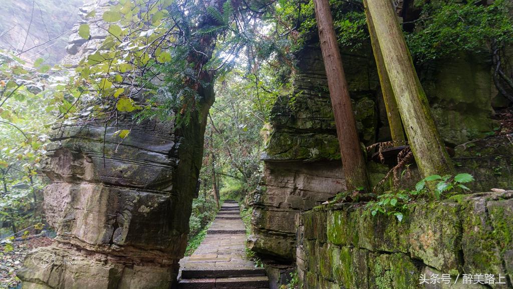 武陵源，秋之颂歌！