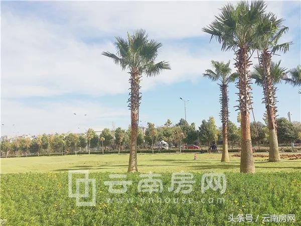 中航城洋房评测,中航城二期花园