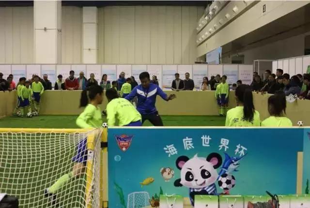 郑州世界杯足球场,世界杯综合体育场改造专业足球场