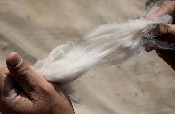 双11买了九百块,双11一千多卖15是真的吗