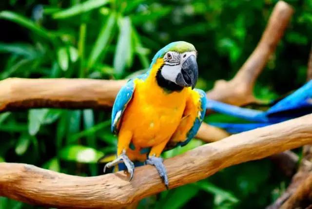 广州长隆游玩攻略最新,珠海长隆和广州长隆一起玩的攻略