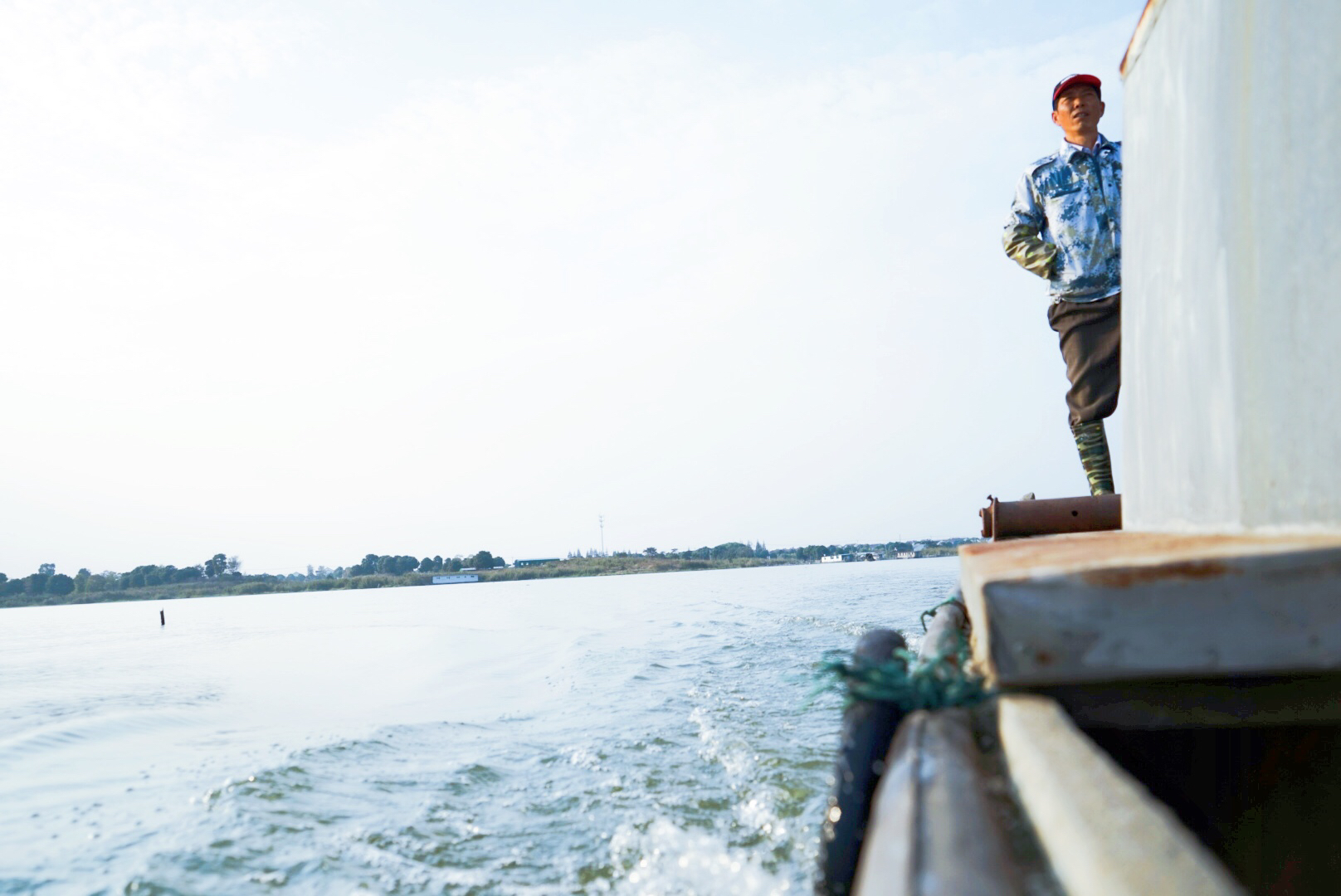 阳澄湖捞出来的大闸蟹,阳澄湖大闸蟹能捞么