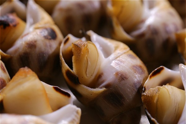 海鲜烧烤美食推荐,海鲜美食推荐烧烤