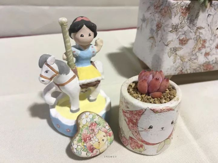 公认最美4种多肉植物图片,2014年上海多肉植物展图片