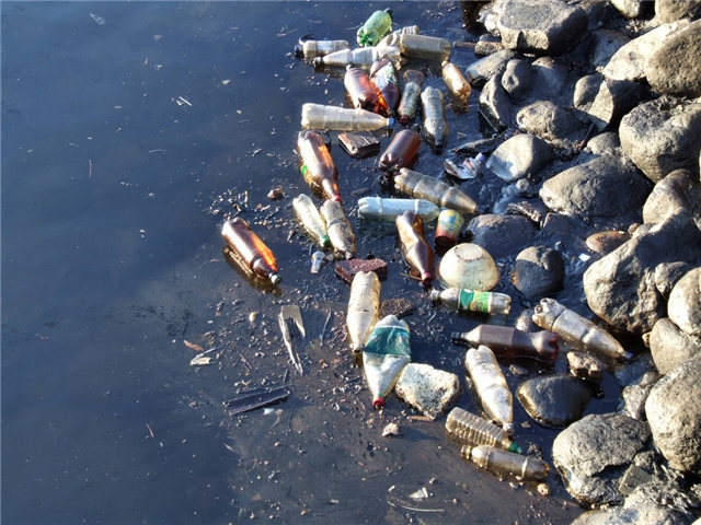 MARPOLLUTBULL：超神奇！珊瑚竟然爱吃塑料垃圾！