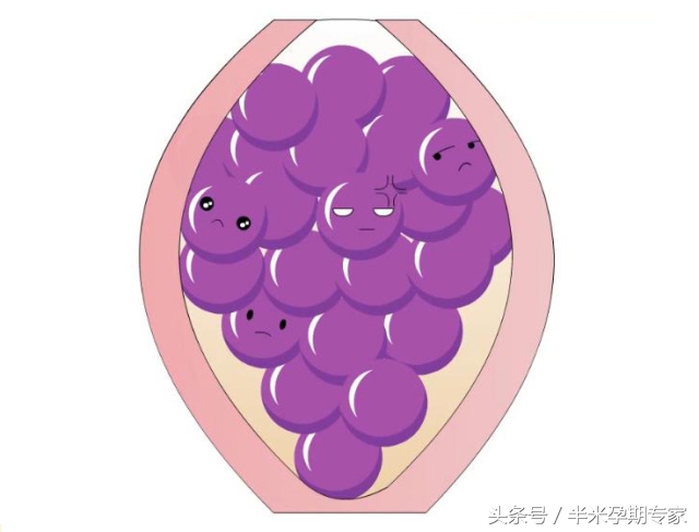 怀孕第一次b超看得到宝宝吗,孕早期几天b超才可以看到宝宝