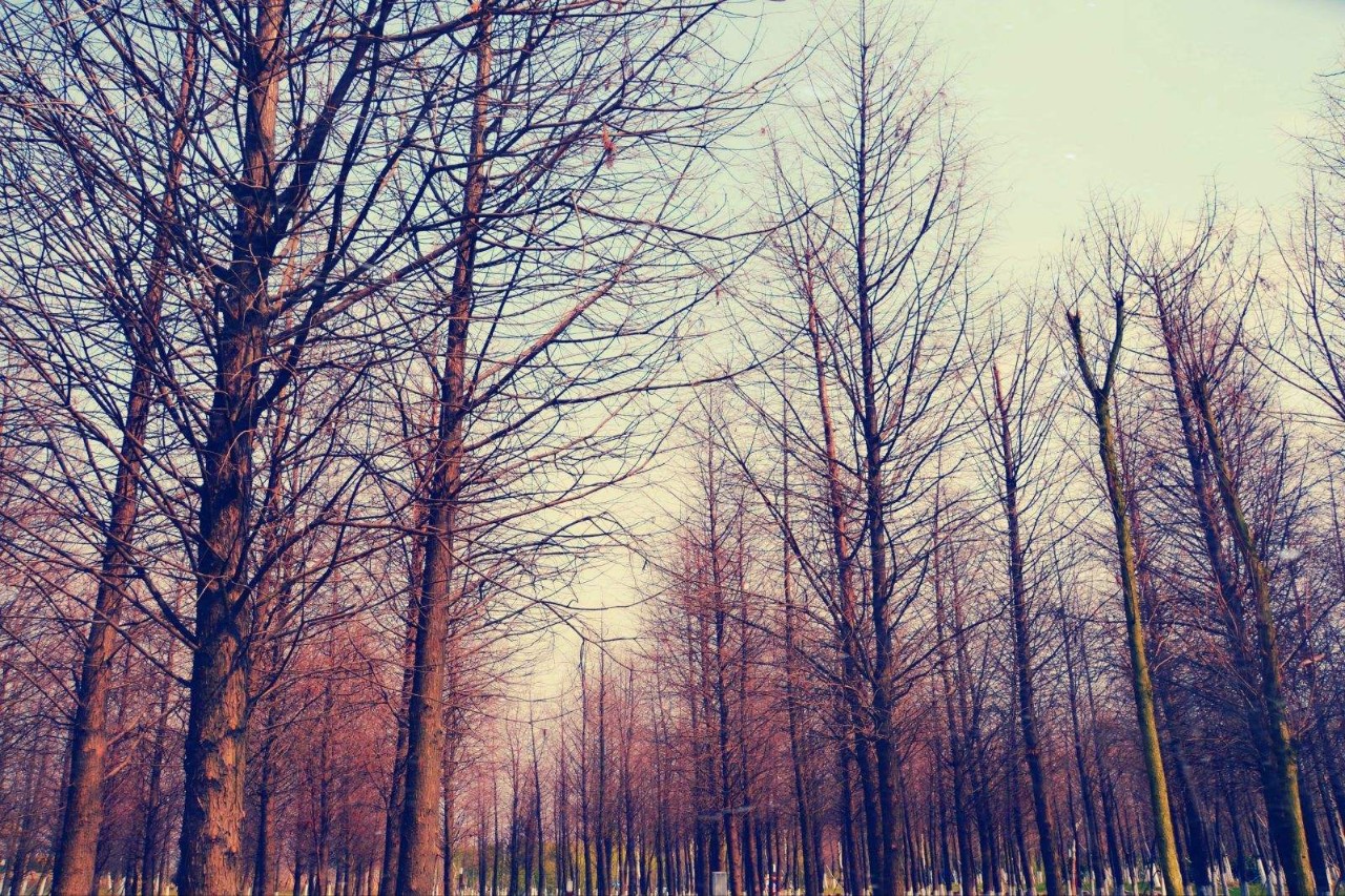 上海各个景点及路线图,上海周边公交车地铁可以到的景点