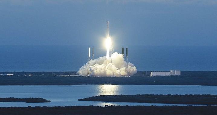 十种曾到过太空的动物,中国有哪些进入太空的动物
