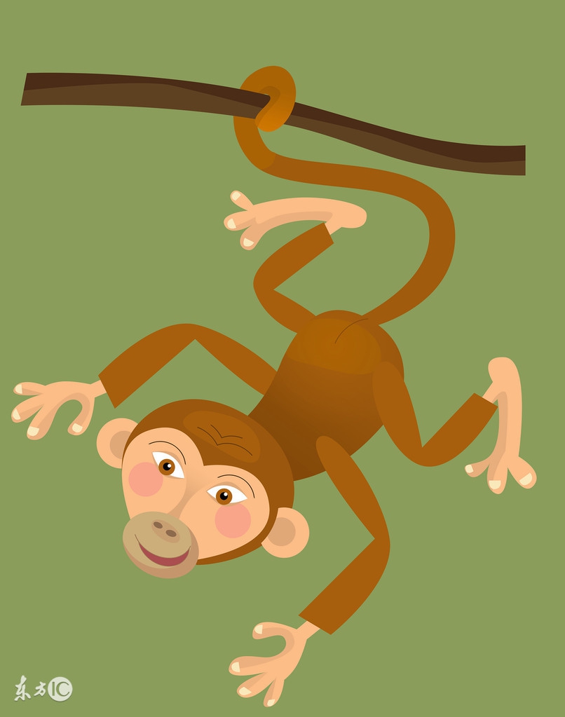 猴年出生的人2024年运势及运程,猴年出生的人2024年的运势