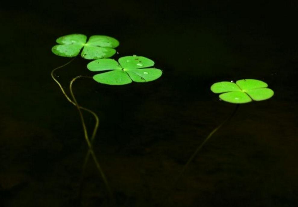 做人别太奸早晚得翻船,做人一定要当心一点