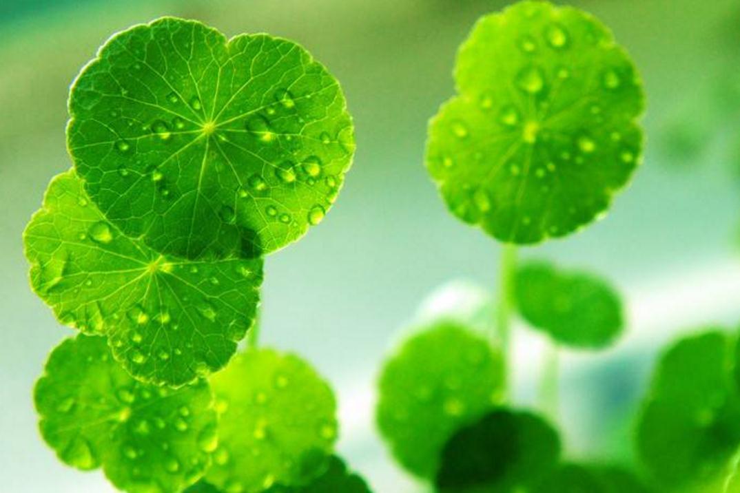 做人一定要提防小人,做人要小心谨慎