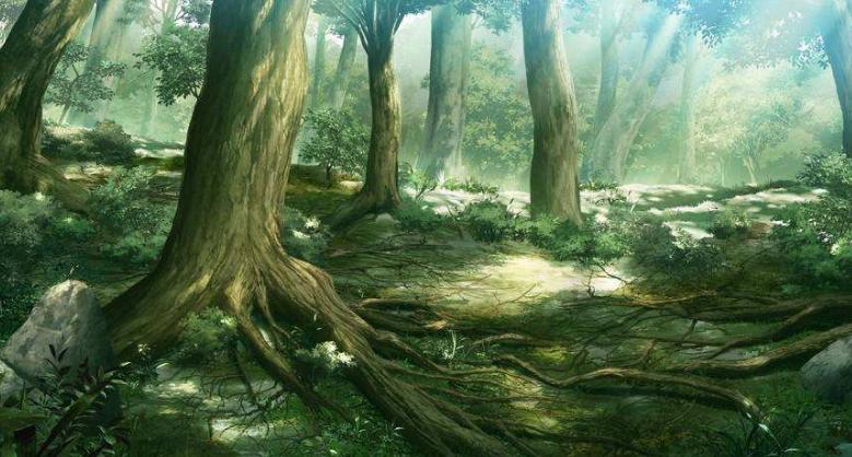 没看见光的时候，颜色存在吗？当无人在场时，也就没有彩虹的存在