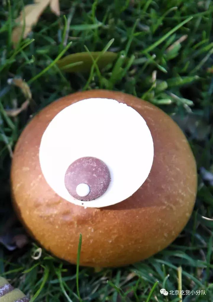 闈㈠寘澶ц禌涓浗鍐犲啗,闈㈠寘澶ц禌鍐犲啗鑺卞紡闈㈠寘浣滃搧