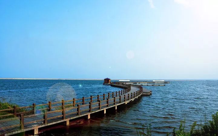 上海松江未来地铁线路图2025超清,上海各区旅游地铁线路图