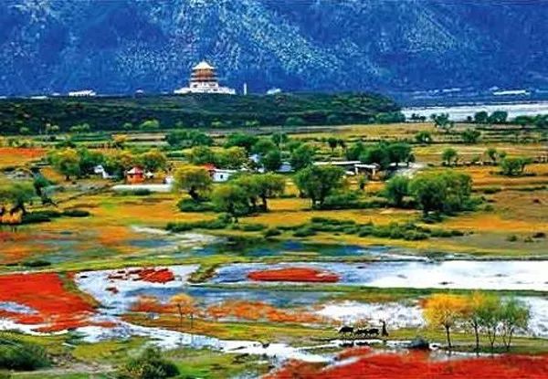 林芝地震多吗,西藏林芝的地震