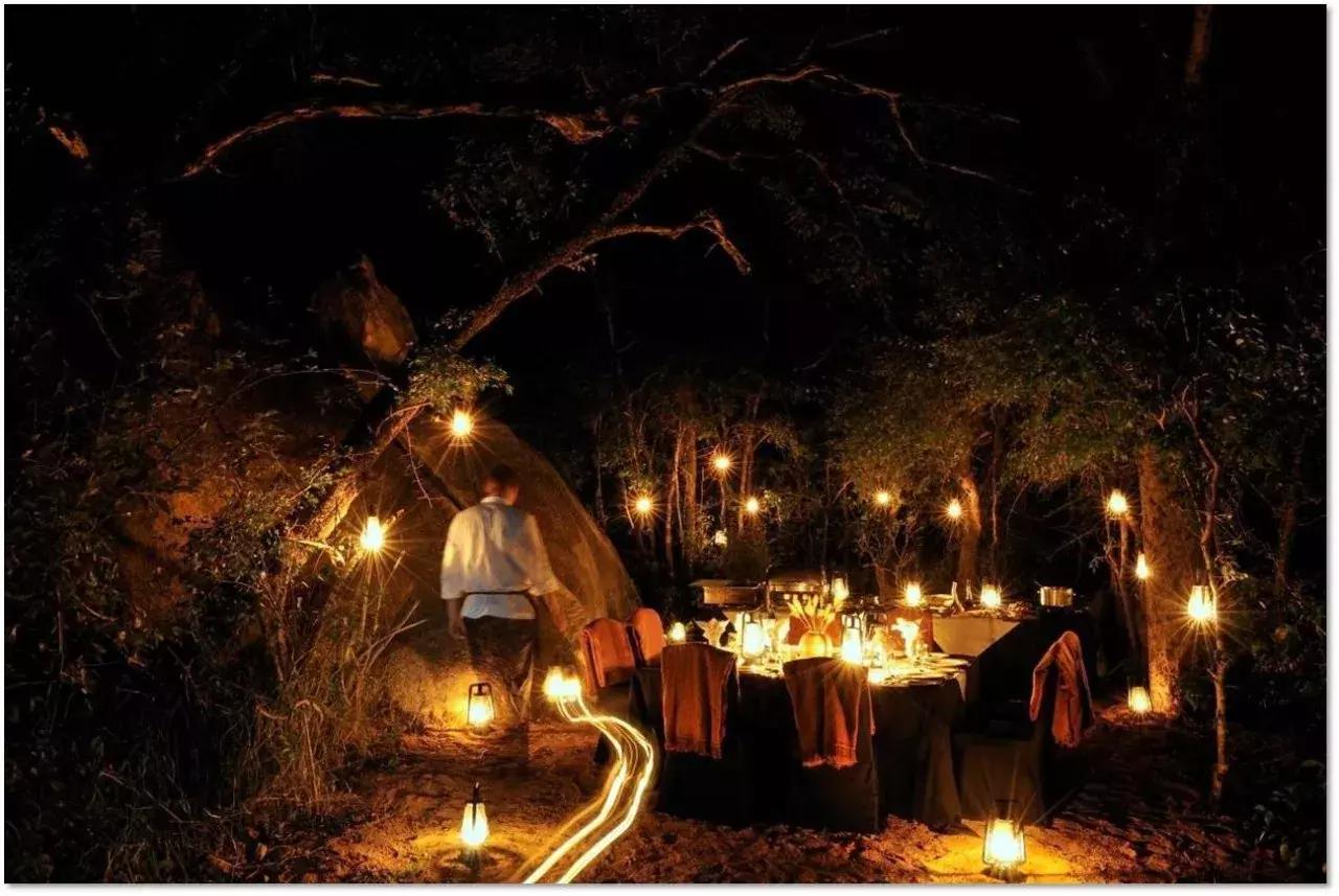 他花16年学会跟狮子交谈,而你花10天懂得了他的执著!