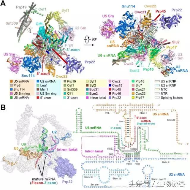 如何评价施一公与冷冻电镜,施一公怎么发现冷冻电镜