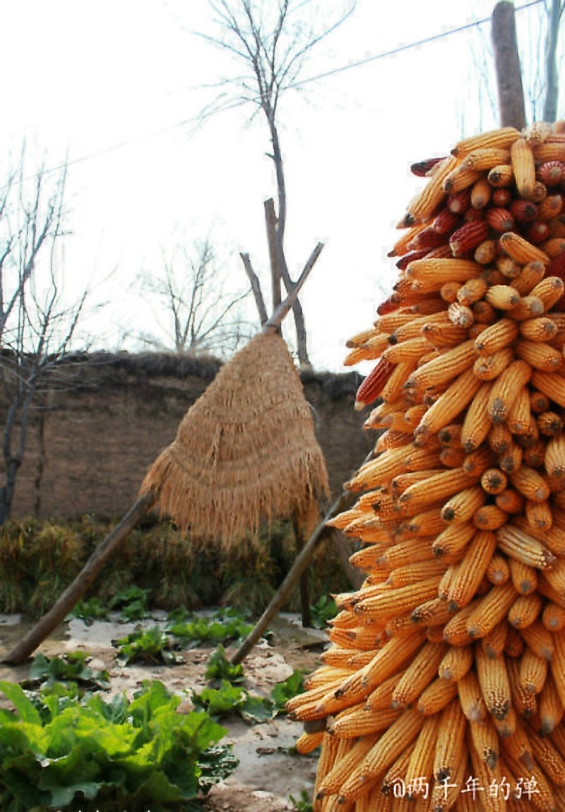 甘肃赏田园风光感受乡村魅力,甘肃渭源风景图片大全