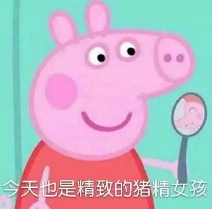 霸占你的小猪表情包,霸占你全部时间的表情包