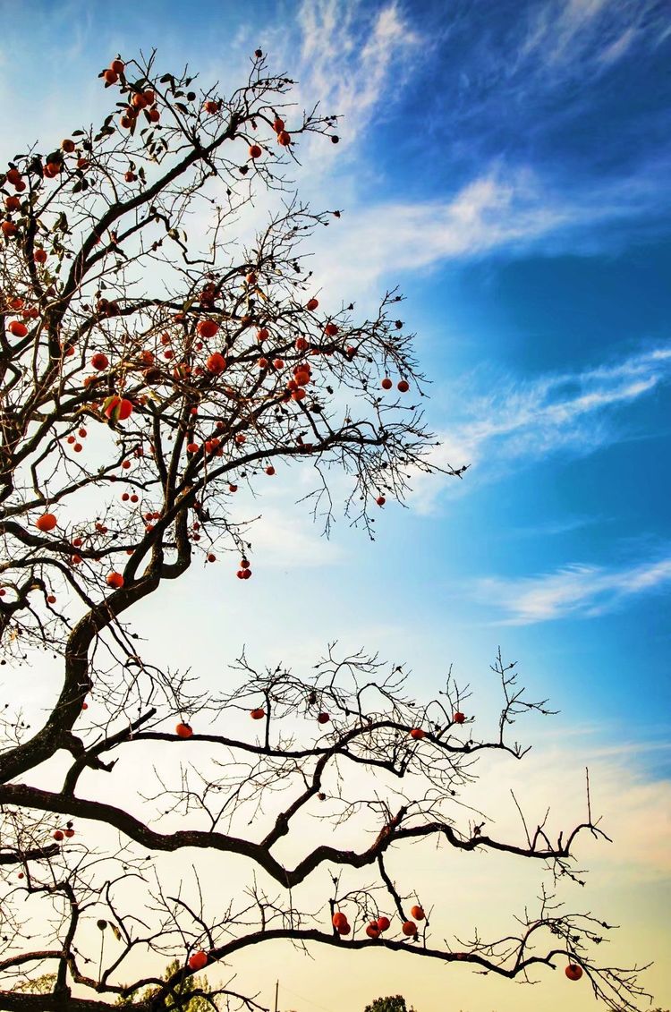 金秋沂南,诗意流淌有那么一群爱美的人,把秋季沂南送到你面前