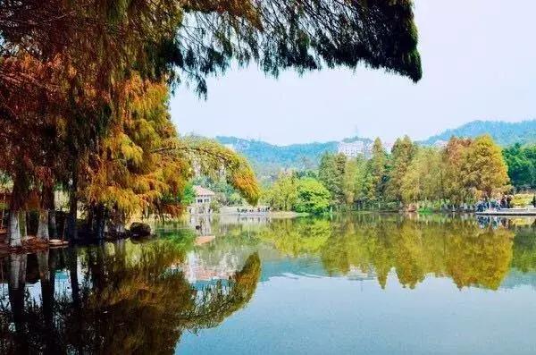 厦门曾厝埯住宿攻略,厦门旅游攻略五天4晚自由行视频