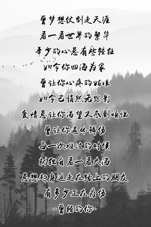 致敬音乐诗人～许巍最好听的十大歌曲解析