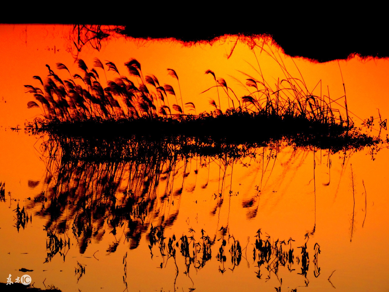 《江月》连载：他坏坏的，还精神分裂，却悄悄夺走了她的心！