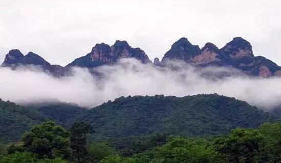 板栗树林旅游攻略,陕西板栗之乡风景图
