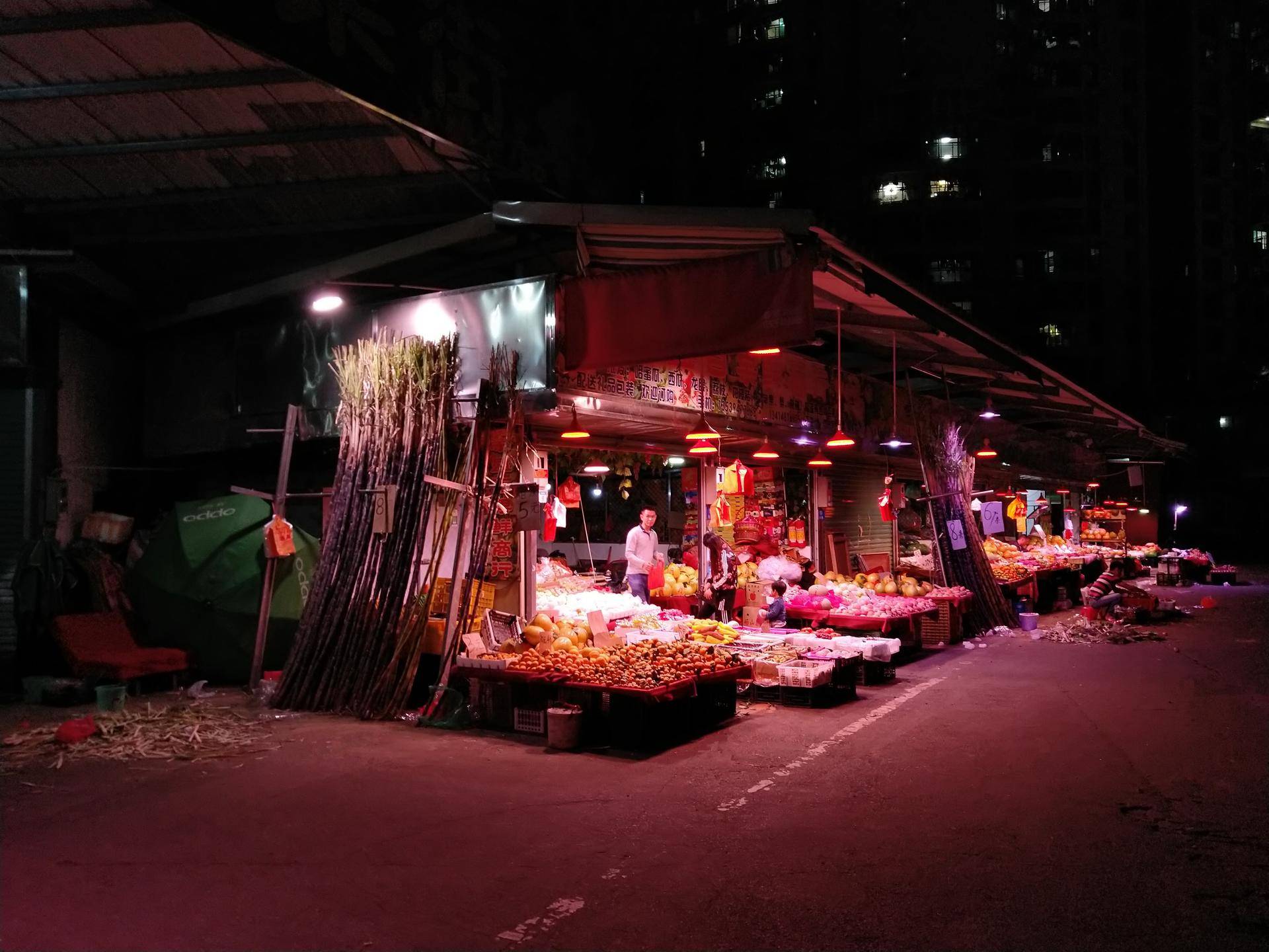 锤子坚果pro2s测评照片,坚果pro2s拍照小白测评