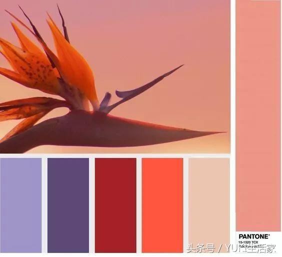 pantone2018,pantone2018年流行色是什么