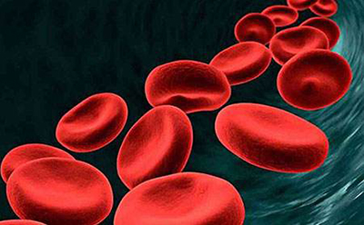 肽对于细胞的作用,小分子肽对人类的巨大作用