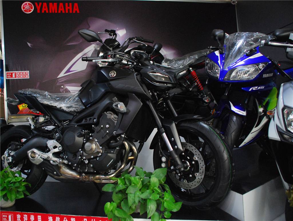 闆呴┈鍝坢t-09椹潵瑗夸簹,绮夎壊闆呴┈鍝坢t09