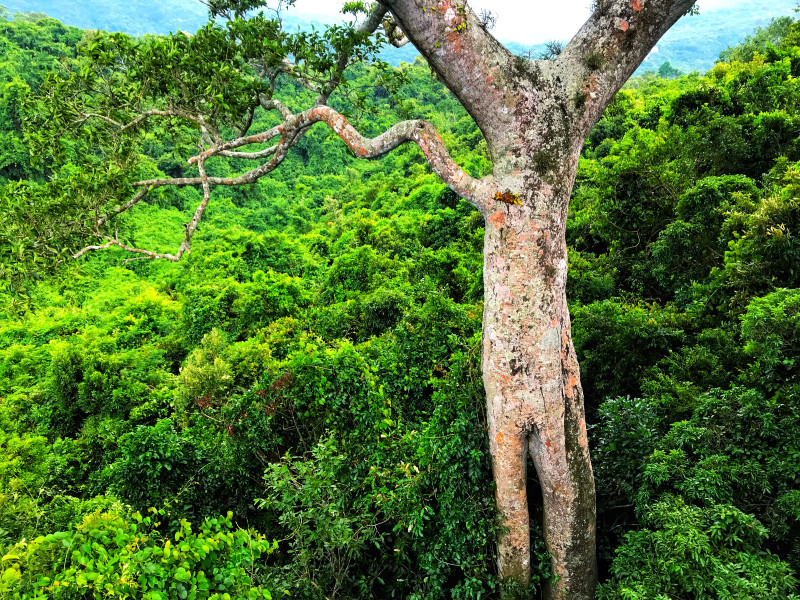 春节去三亚避寒攻略,冬天来三亚避寒